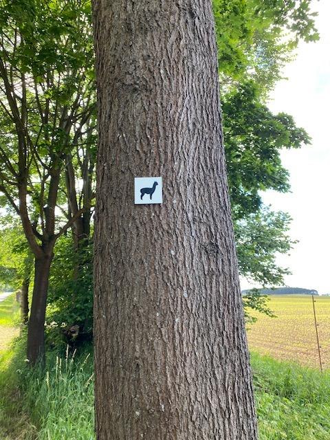 &copy; Touristinformationen Wesenberg & Mirow, Mecklenburgische Kleinseenplatte