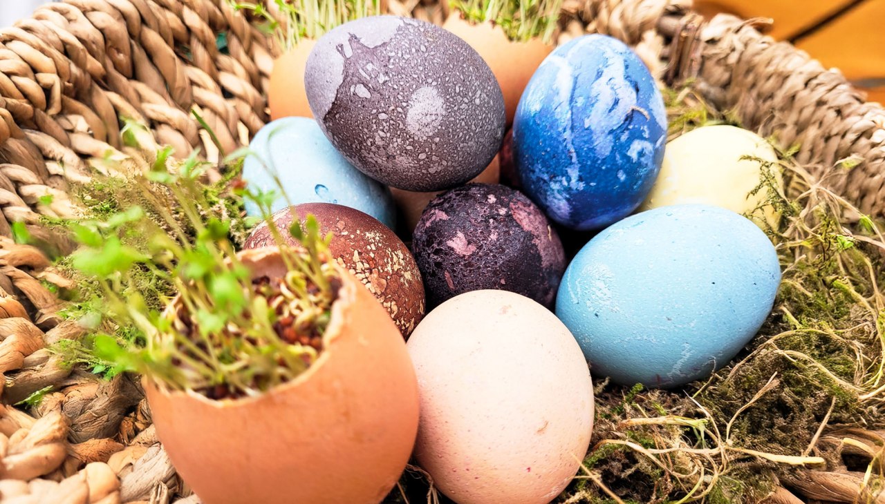 KeyVisual_AGM_Easter_all_season_start_2026_16zu9, &copy; MuSeEn gGmbH