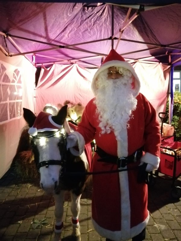 Ojciec Święty z kucykiem bożonarodzeniowym, © TDG Rechlin mbH Ojciec Święty z kucykiem bożonarodzeniowym, © TDG Rechlin mbH