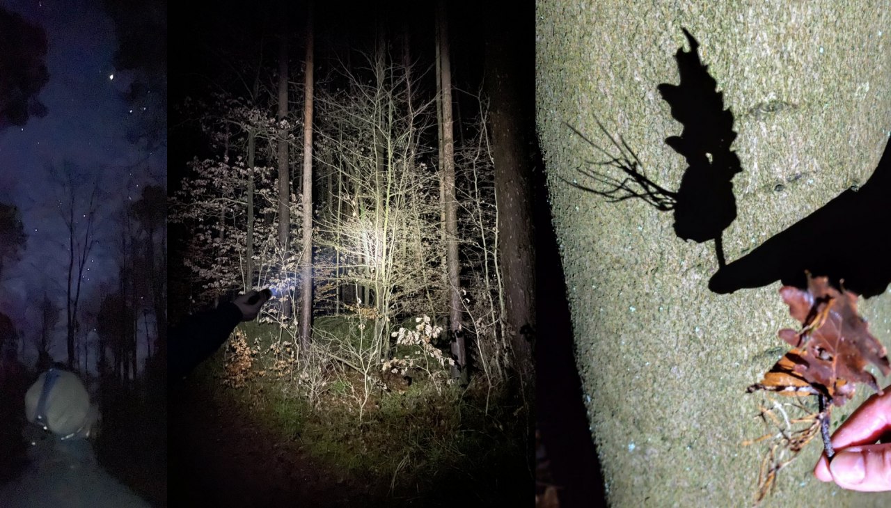 taschenlampenwanderung, &copy; Britta Daedelow