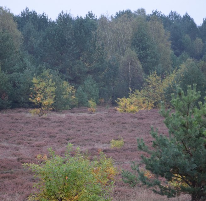 © Martina Fuhrmann © Martina Fuhrmann