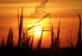 &copy; KV M&ouml;nchgut