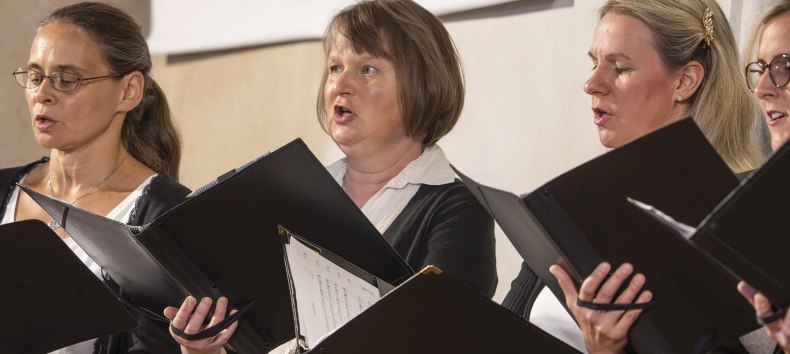 &copy; Geert Maciejewski