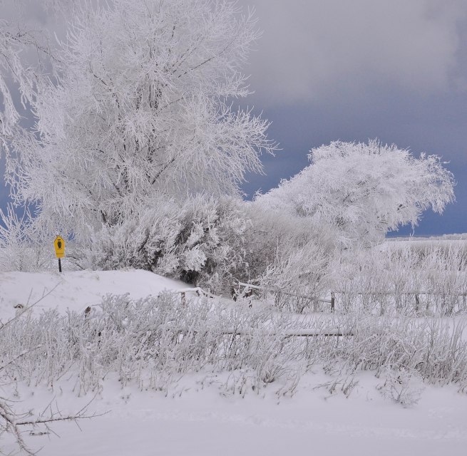 &copy; Nationalparkamt Vorpommern