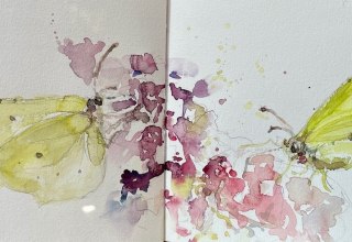 Blumen und Schmetterlinge // © Daniela F. Lüers Blumen und Schmetterlinge // © Daniela F. Lüers