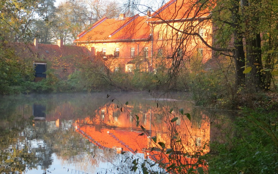 © F.Erbacher