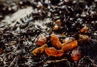 © Binzer Bucht Tourismus © Binzer Bucht Tourismus