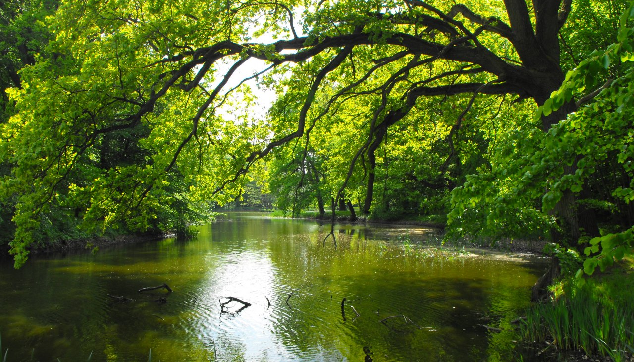 Landschapspark in Behrenhoff, © Tourismusverband Vorpommern e.V.