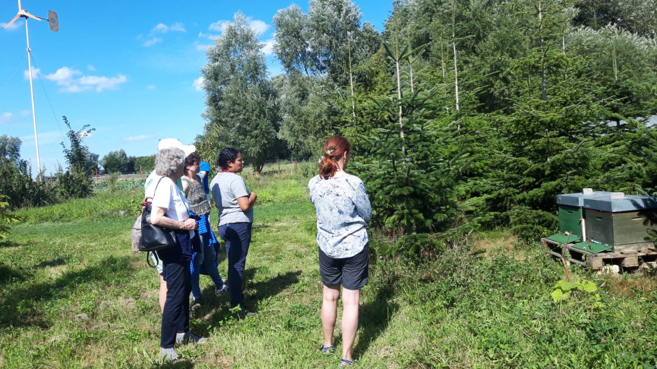Information round on the farm // &copy; Solawi Stralsund