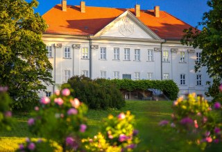 © Stadt Neustrelitz