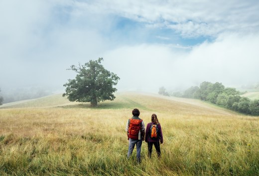 Het natuurparkpad in Mecklenburg Zwitserland - een koppel staat op een vlakke heuvel in de ochtendmist