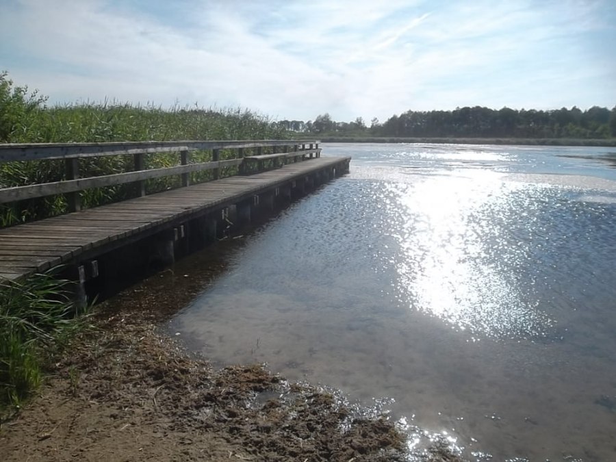 Neu Heindener See z pomostem kąpielowym, © Mostro A.S. Hamburg