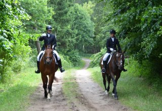 Horseback riding with Reiterhof Groß-Stubben means above all enjoying nature, © Reit- und Fahrverein Poseritz e.V./ Thomas Krimmling Horseback riding with Reiterhof Groß-Stubben means above all enjoying nature, © Reit- und Fahrverein Poseritz e.V./ Thomas Krimmling