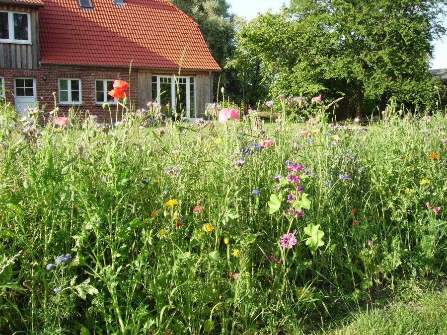 Smedsens Hoff 1 Galerij PL, © Galerie PL