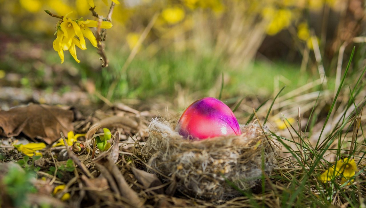 &copy; easter-egg-7894939_1920 (1).jpg