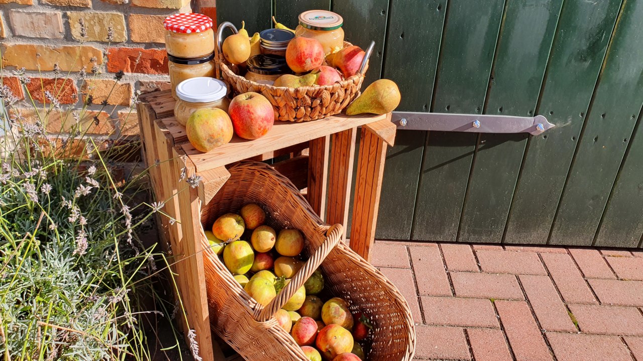 Appeldag . fresh apple juice from the press and variety identification // © S. Maus Appeldag . fresh apple juice from the press and variety identification // © S. Maus