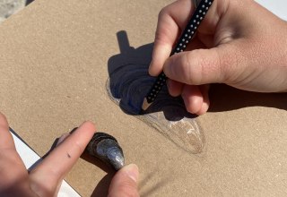 &copy; Stephanie Freiling