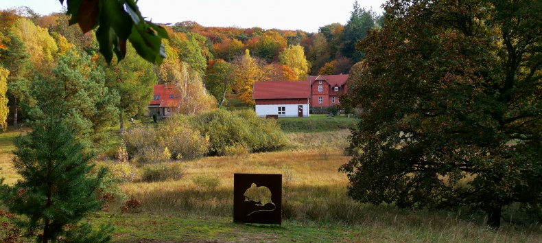 &copy; Wiebke D&ouml;bbert