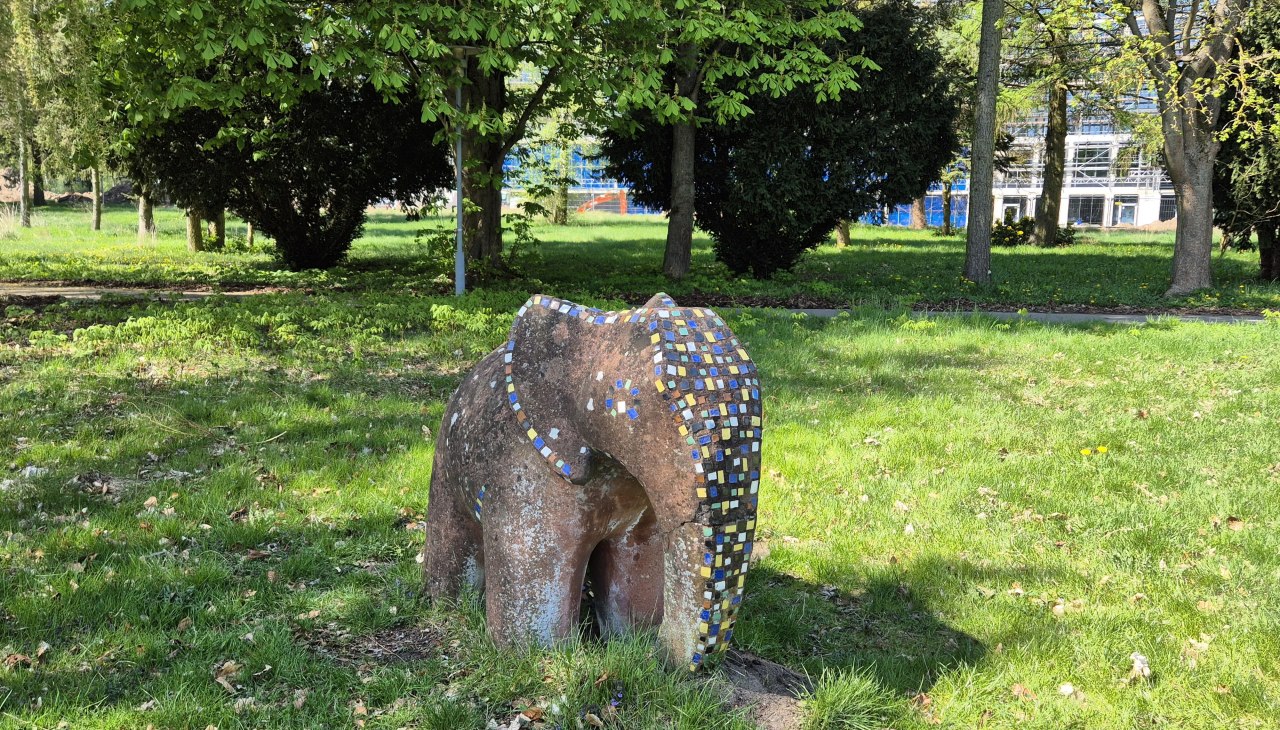 20250420_132003, © Gina Schulenberg 20250420_132003, © Gina Schulenberg