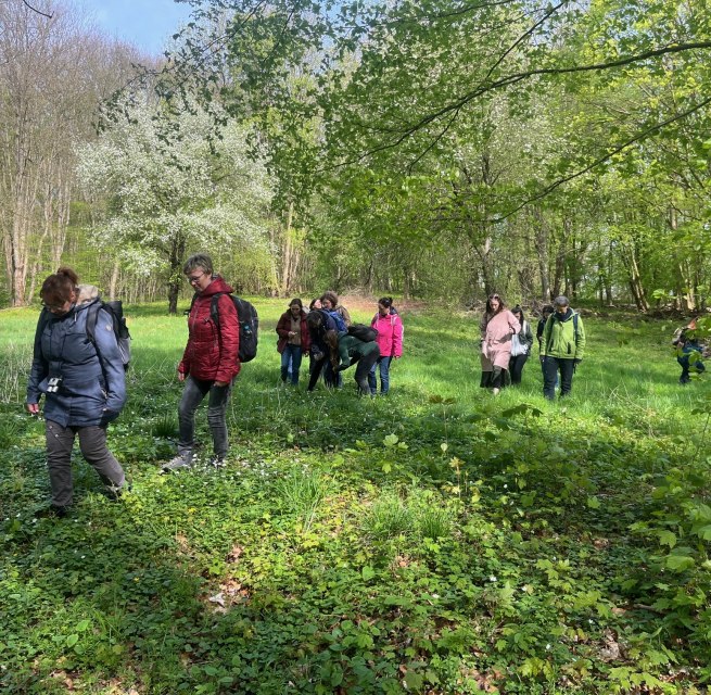 Herb hike, &copy; Petra Dittmar
