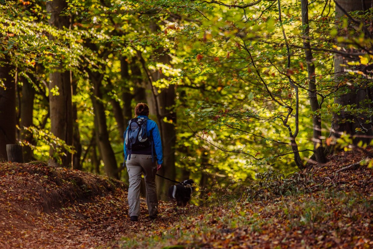Wandeling: Op stap met de hond, © Binzer Bucht Tourismus Wandeling: Op stap met de hond, © Binzer Bucht Tourismus