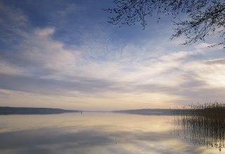 Nature breathes silence on the Tollensesee lake, &copy; TMV/Grundner