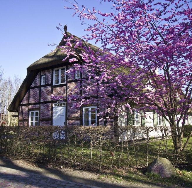 Landhuis cottage, vakantie onder een rieten dak // © Rittergut Streu Landhuis cottage, vakantie onder een rieten dak // © Rittergut Streu