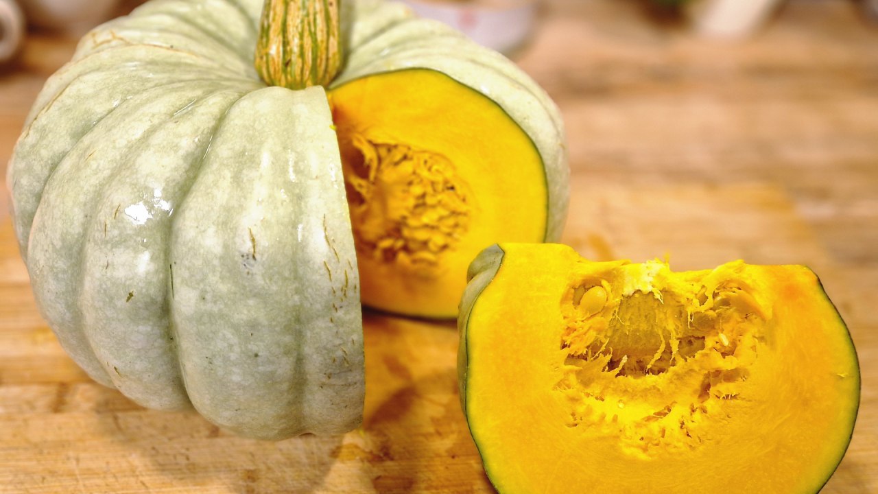 Known & unknown pumpkins: Musk pumpkin // © B. Siebenbürgen Known & unknown pumpkins: Musk pumpkin // © B. Siebenbürgen