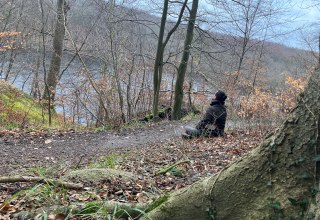 © Nationalpark-Zentrum KÖNIGSSTUHL