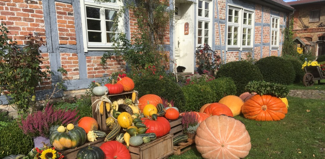 Festiwal dyni w Gutshof Alt-Guthendorf, © Gutshof Alt Guthendorf/Topp