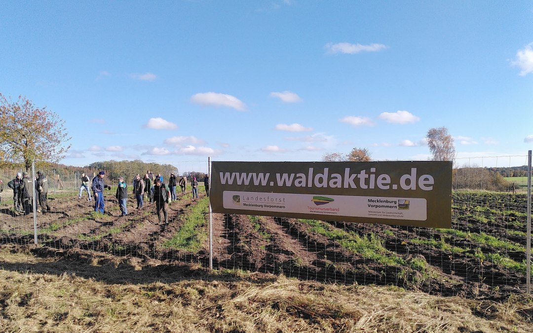 Op Rügen wordt een klimaatbos aangelegd, © Johanna Köhnlein