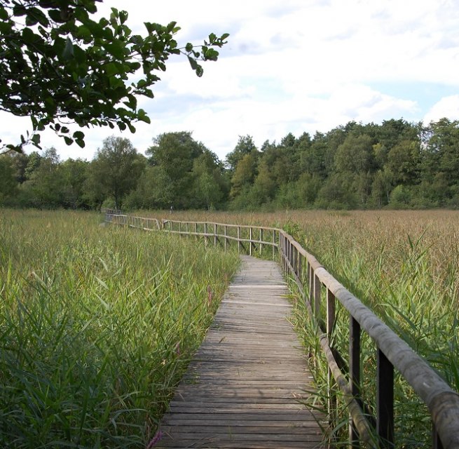The trail leads through sections of forest and across wet meadows., &copy; Gabriele Skorupski