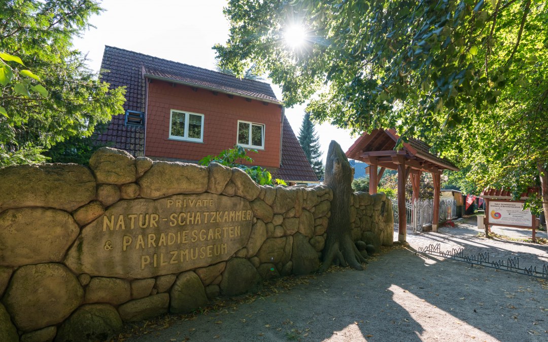 Naturschatzkammer (2)-min, © Moritz Kertzscher