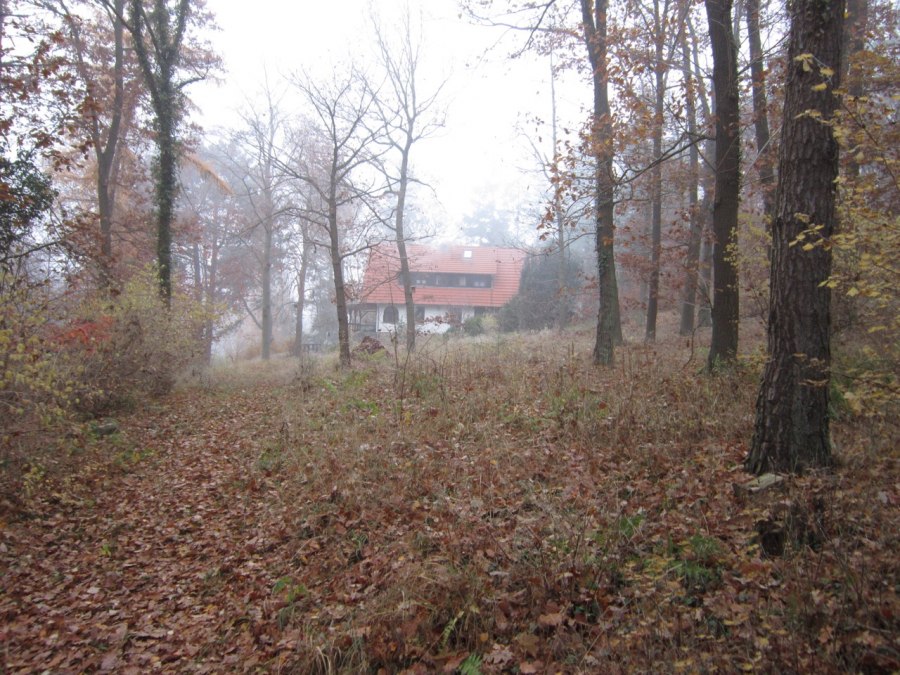9000 m² forest plot, view of the house in autumn, © Bernhard Barth