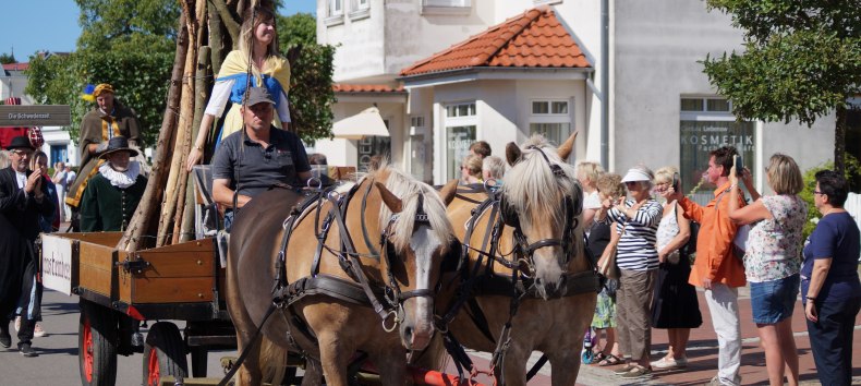 &copy; Festumzug