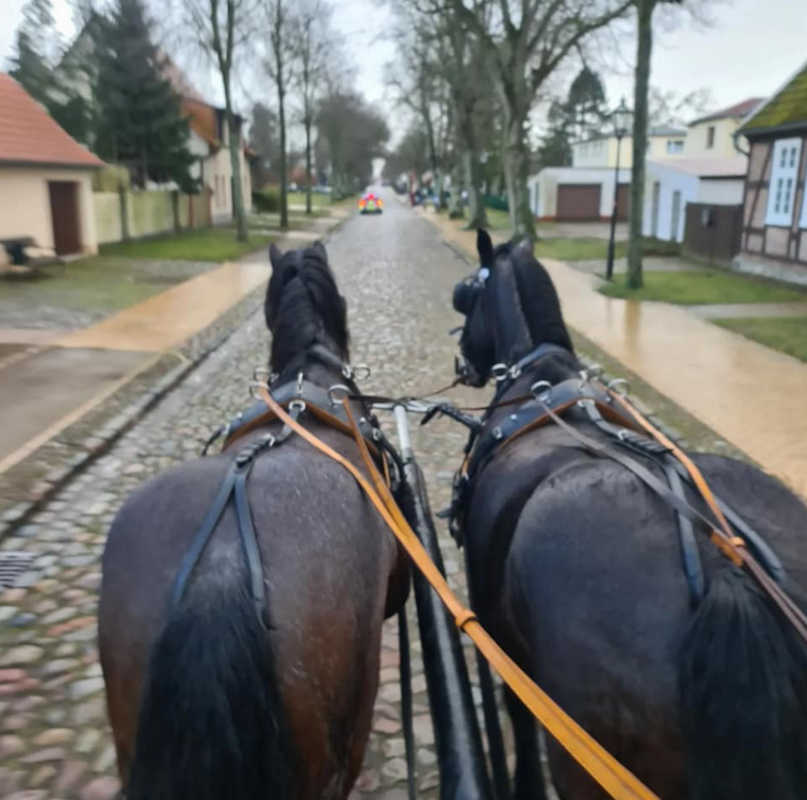© Reiterhof Enning © Reiterhof Enning
