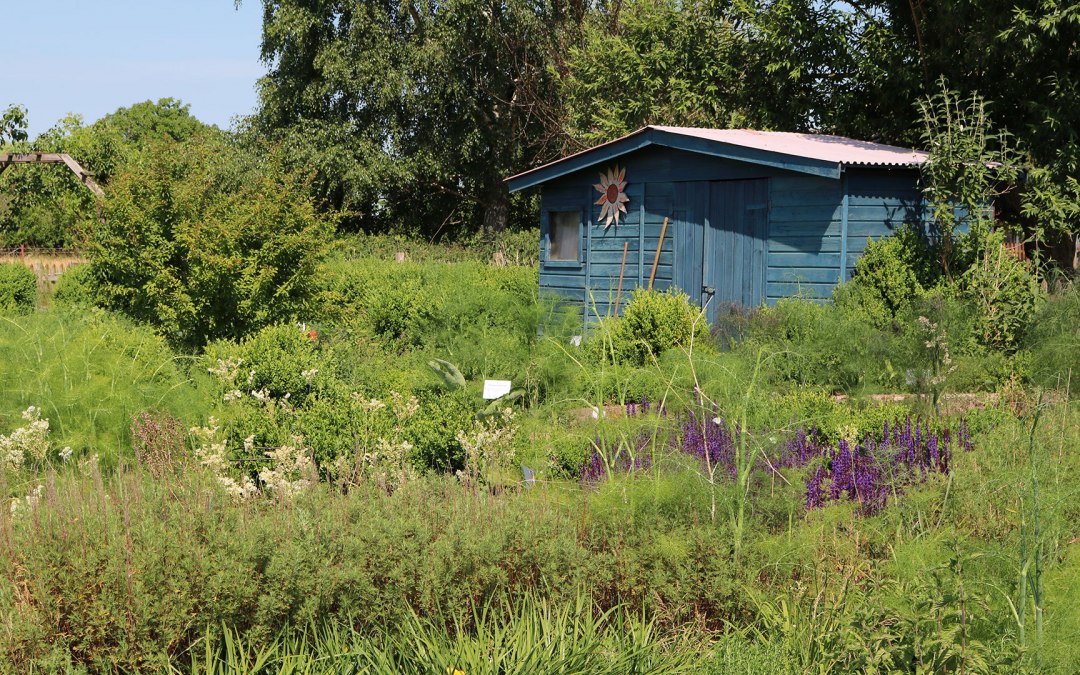 Luplow herb nursery, © Silke Voss