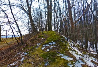 &copy; Arch&auml;o Tour R&uuml;gen