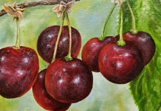 &copy; Manfred Metschurat