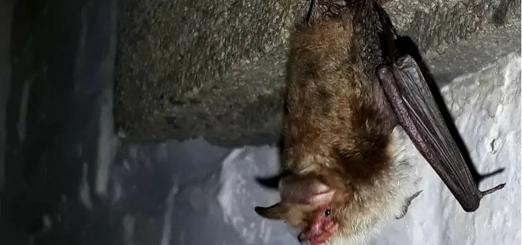 &copy; Bjarne Riesbeck