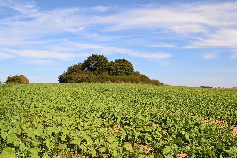Dobberworth grafheuvel bij Sagard, © Tourismuszentrale Rügen