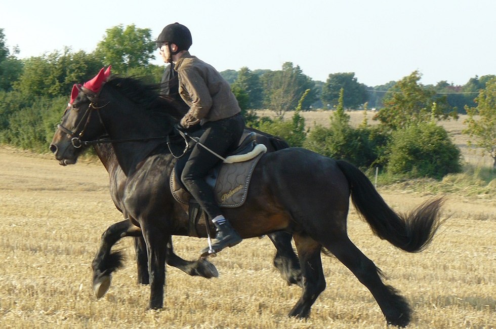 Horseback ride through the beautiful nature // &copy; Ponyhof R&uuml;gen