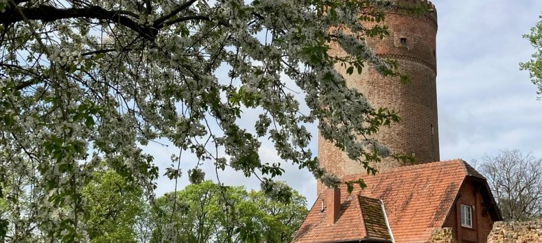 © Andrea Krüger © Andrea Krüger