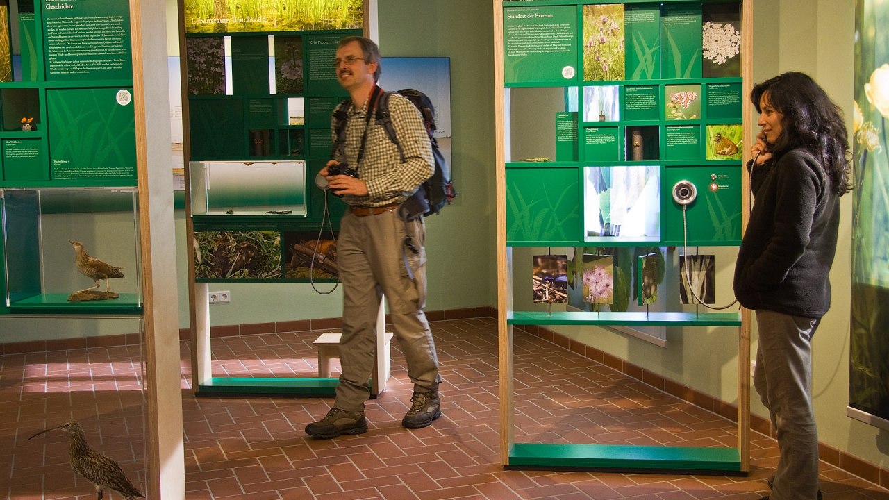 Tentoonstelling over verschillende habitattypes in het natuurpark in het bezoekersinformatiecentrum // © U.Steinhäuser Tentoonstelling over verschillende habitattypes in het natuurpark in het bezoekersinformatiecentrum // © U.Steinhäuser