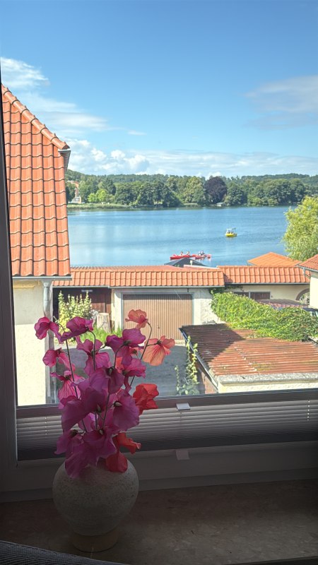 View of Haussee // © M. Seltrecht View of Haussee // © M. Seltrecht