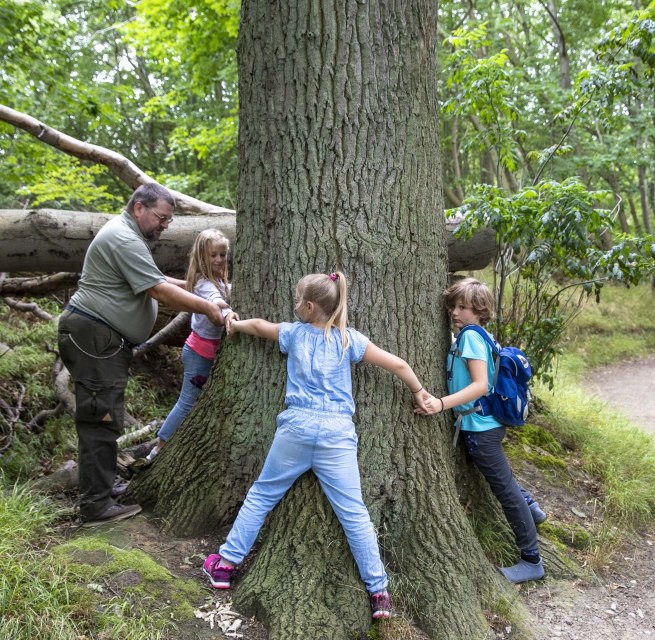 &copy; Kurverwaltung Goehren / Martin Stoever