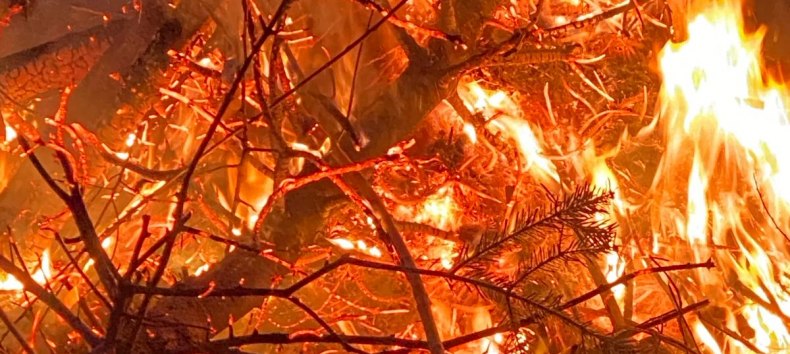 &copy; Kurverwaltung Feldberger Seenlandschaft