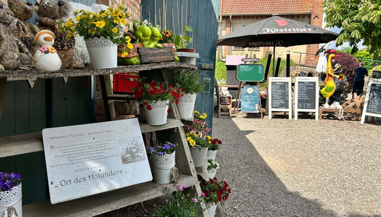 IMG-20250526-WA0010, © Katrin Berndt