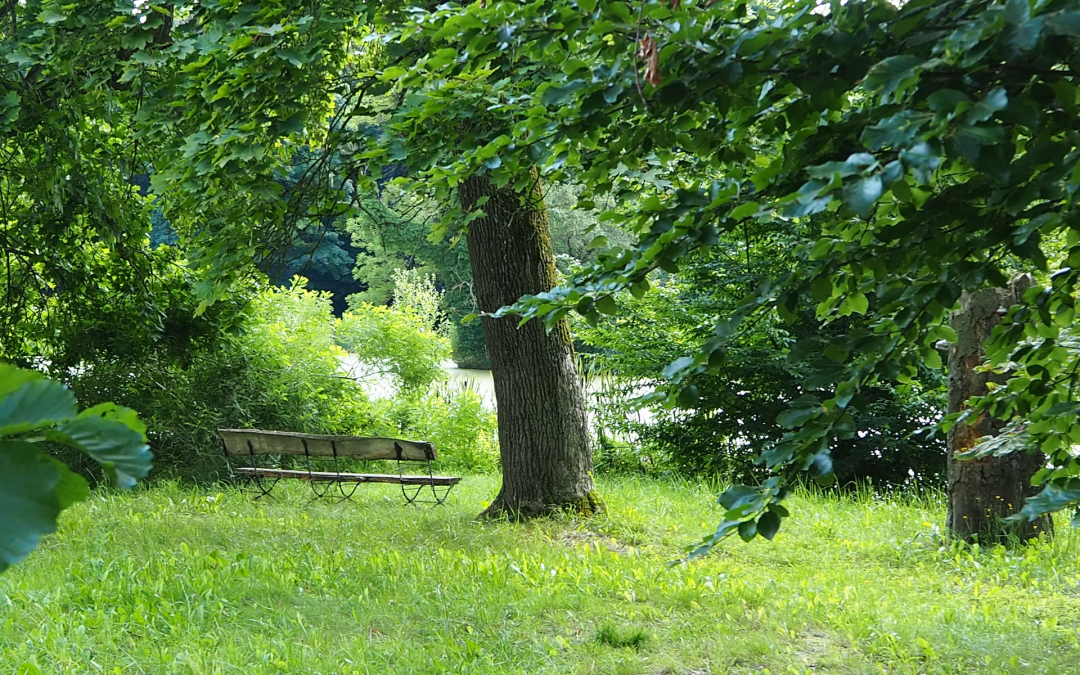 Im Schlosspark Semlow 3(c) Manuela Steimle, © Tourismusverein VR/Manuela Steimle