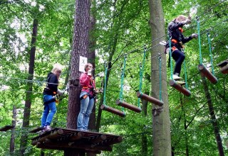 Las wspinaczkowy, © Sabrina Wittkopf-Schade